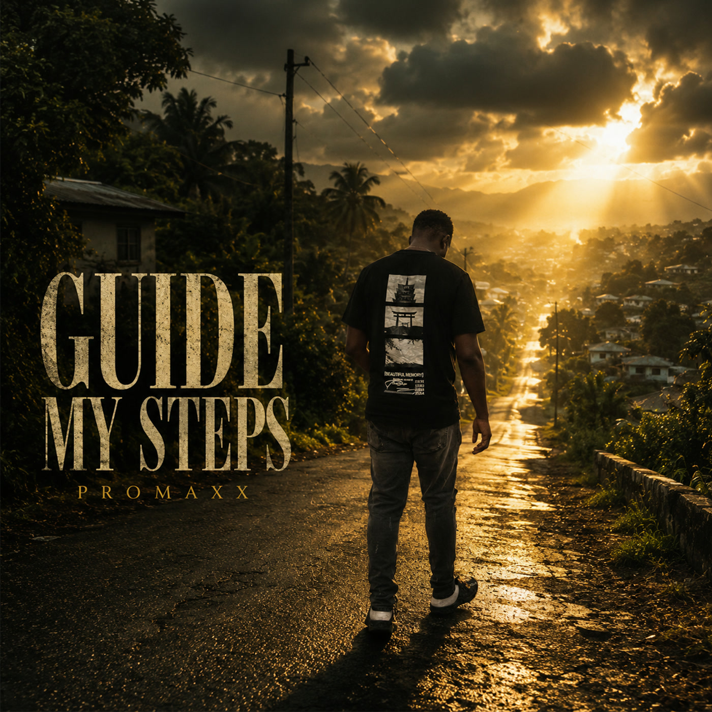 Promaxx — Guide My Steps